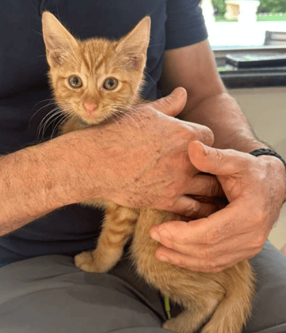 Screenshot 2025-10-28 at 4.12.19 PM.png