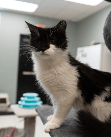 Screenshot 2025-10-30 at 11.11.28 AM.png