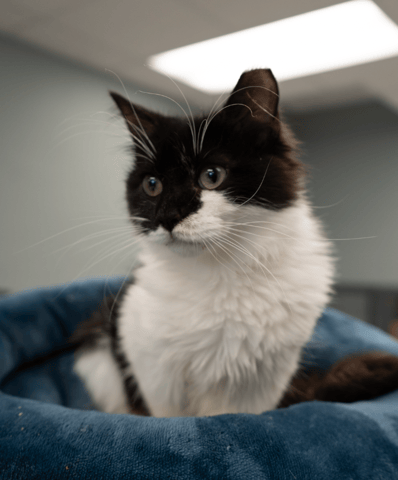 Screenshot 2025-10-30 at 11.11.38 AM.png