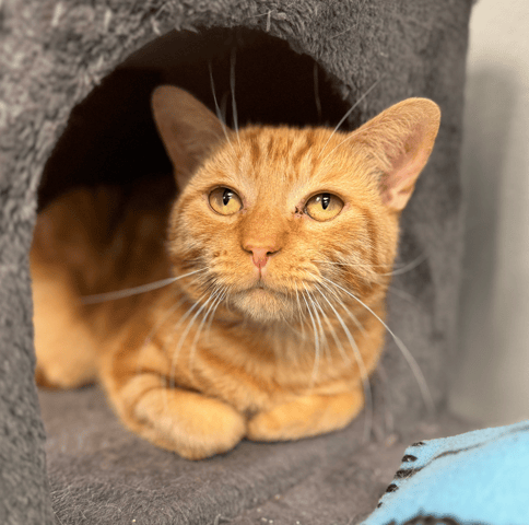 Screenshot 2025-11-01 at 7.49.15 PM.png