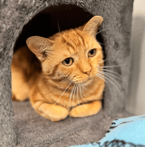 Screenshot 2025-11-01 at 7.49.06 PM.png