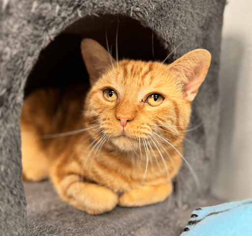 Screenshot 2025-11-01 at 7.48.51 PM.png