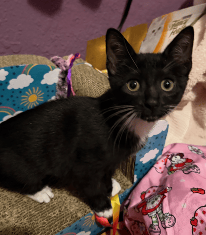 Screenshot 2025-11-23 at 8.24.39 PM.png