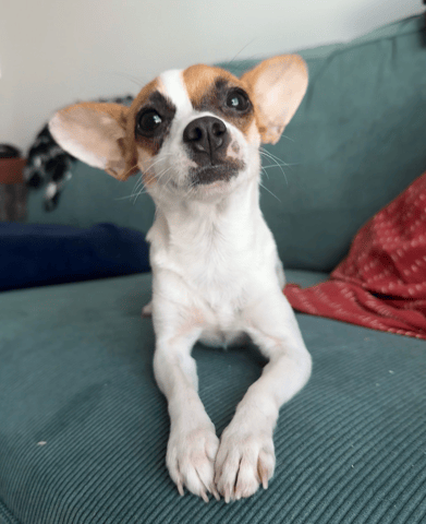 Screenshot 2025-12-10 at 6.48.29 PM.png