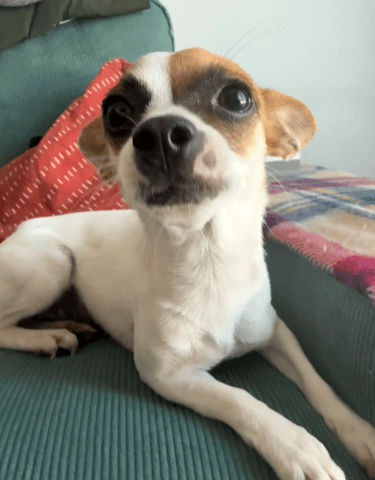 Screenshot 2025-12-10 at 6.48.10 PM.png