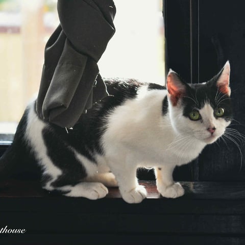 1e97f8852efaf725632d4dd4b3b971cf.jfif