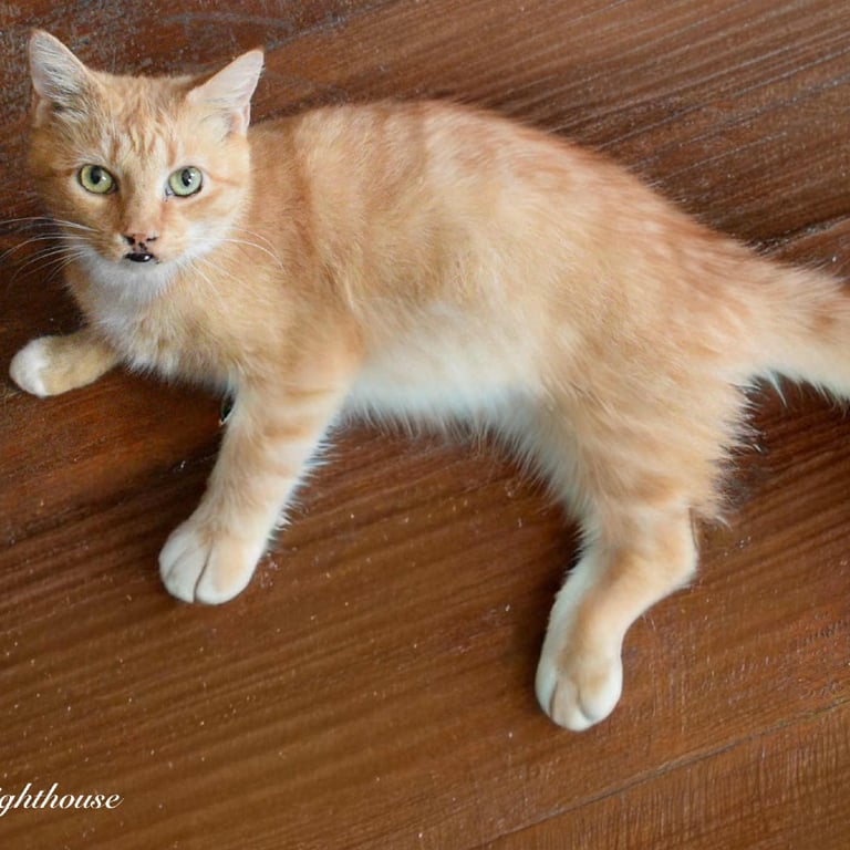 6bfa0f20efe35c759d570c11973ab4b7.jfif