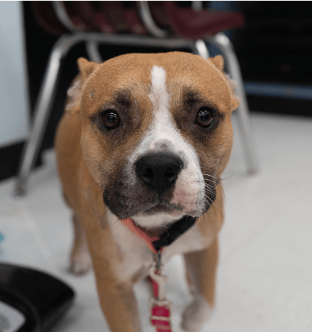 Screenshot 2025-12-16 at 10.55.44 AM.png