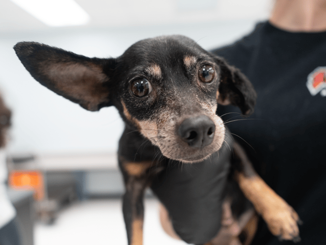 Screenshot 2025-12-21 at 10.10.20 PM.png