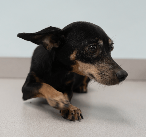 Screenshot 2025-12-21 at 10.10.27 PM.png