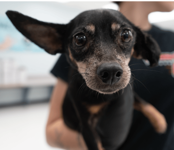 Screenshot 2025-12-21 at 10.10.14 PM.png