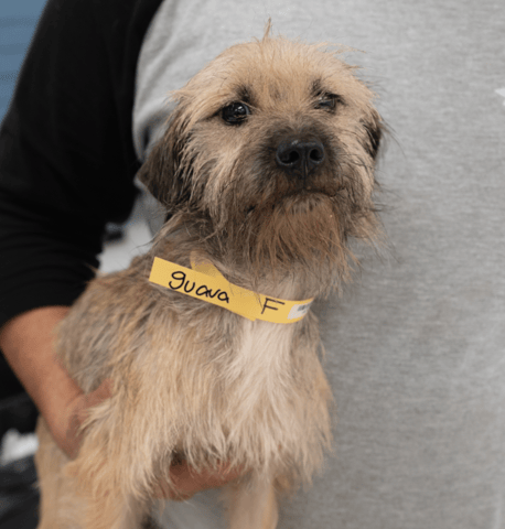 Screenshot 2025-12-21 at 10.14.56 PM.png