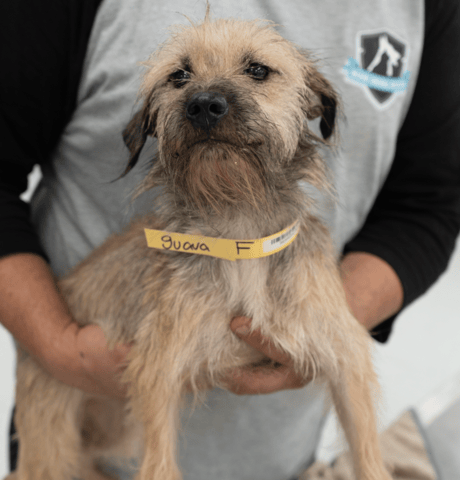 Screenshot 2025-12-21 at 10.15.03 PM.png