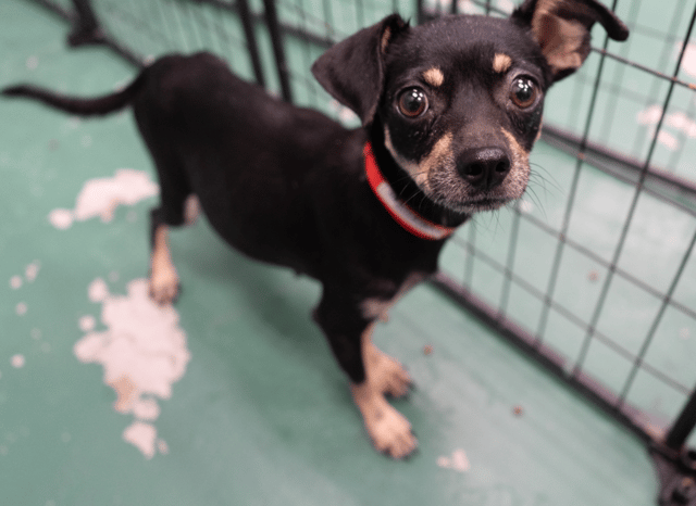 Screenshot 2025-12-21 at 10.45.32 PM.png