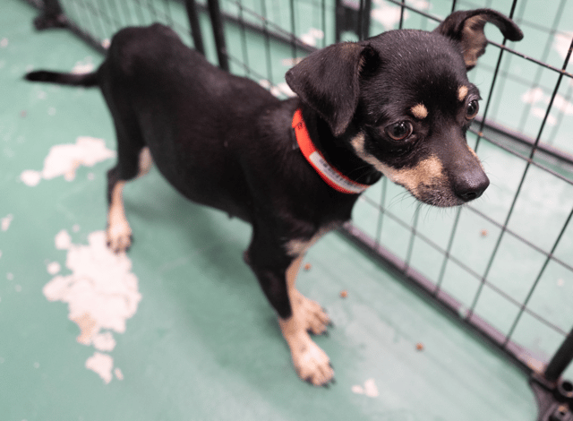 Screenshot 2025-12-21 at 10.45.40 PM.png