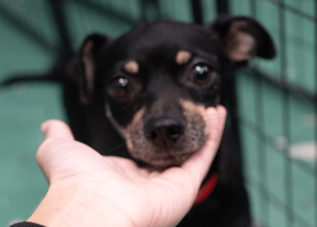 Screenshot 2025-12-21 at 10.45.24 PM.png