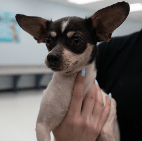 Screenshot 2025-12-21 at 10.49.02 PM.png