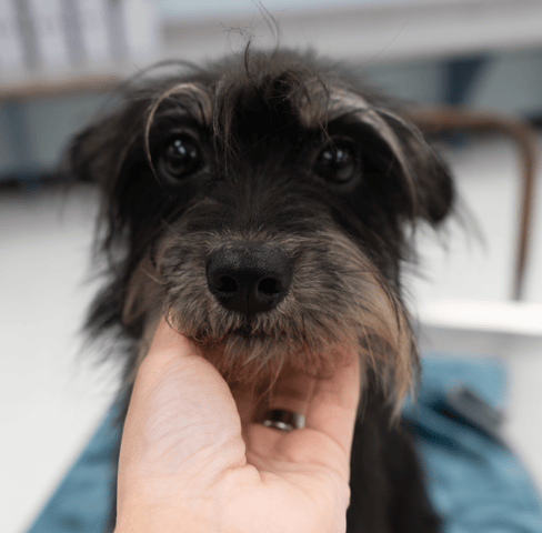 Screenshot 2025-12-21 at 10.54.52 PM.png