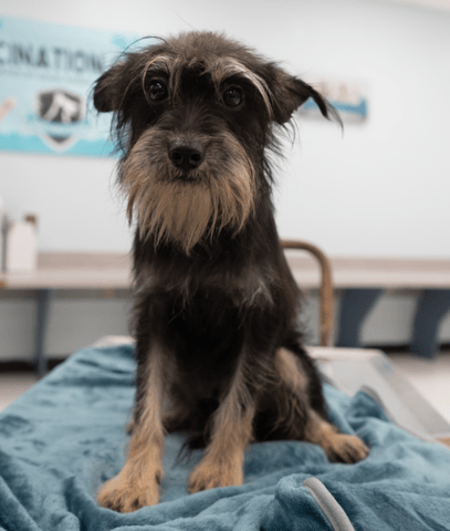 Screenshot 2025-12-21 at 10.54.57 PM.png