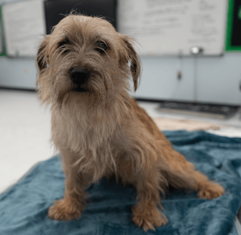 Screenshot 2025-12-21 at 10.59.09 PM.png