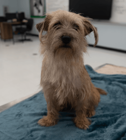 Screenshot 2025-12-21 at 10.59.02 PM.png