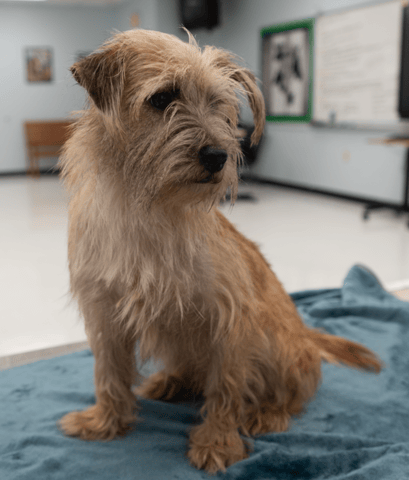 Screenshot 2025-12-21 at 10.58.54 PM.png