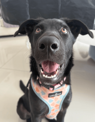 Screenshot 2025-12-23 at 10.46.08 PM.png