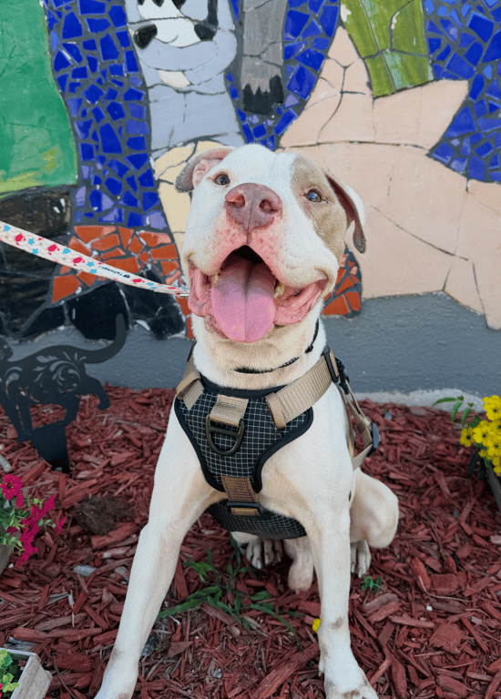 Screenshot 2025-12-24 at 11.56.47 AM.png