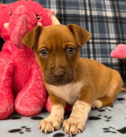 Screenshot 2025-12-30 at 4.49.28 PM.png