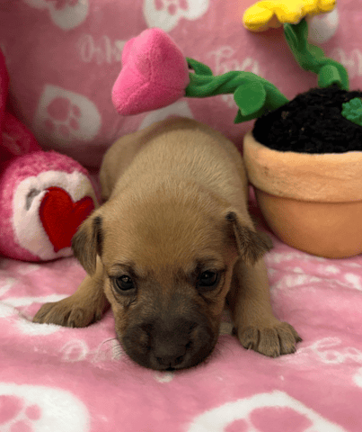 Screenshot 2025-12-30 at 5.48.48 PM.png