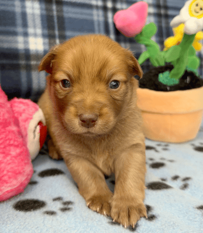 Screenshot 2025-12-30 at 5.51.46 PM.png