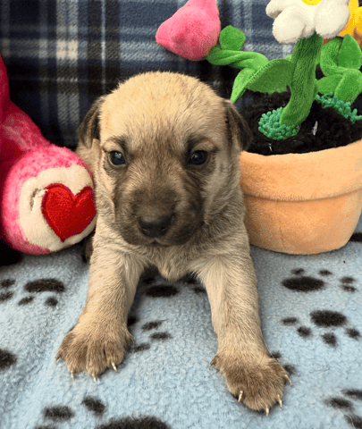 Screenshot 2025-12-30 at 5.52.43 PM.png