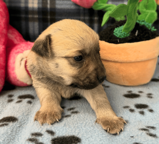 Screenshot 2025-12-30 at 5.52.48 PM.png