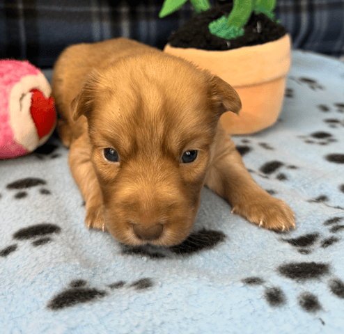 Screenshot 2025-12-30 at 5.54.19 PM.png