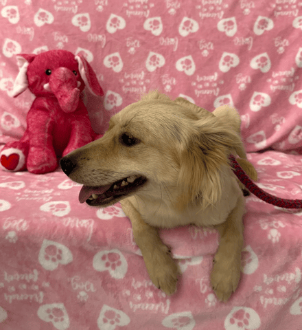 Screenshot 2025-12-30 at 5.58.03 PM.png