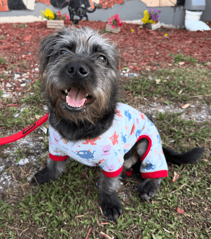 Screenshot 2025-12-30 at 7.48.11 PM.png