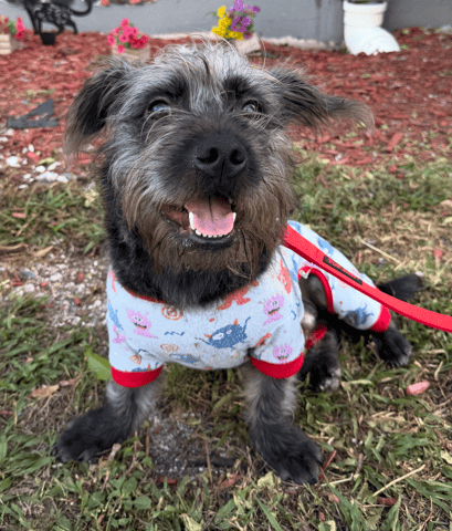 Screenshot 2025-12-30 at 7.48.03 PM.png