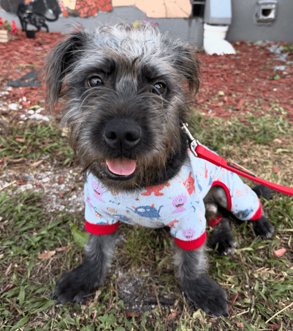 Screenshot 2025-12-30 at 7.47.57 PM.png