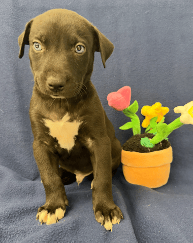 Screenshot 2025-12-31 at 1.51.50 PM.png