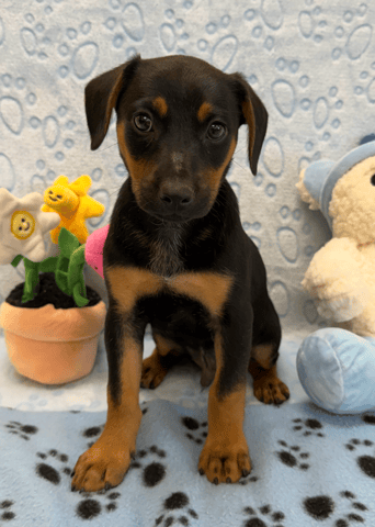 Screenshot 2026-01-27 at 5.13.55 PM.png