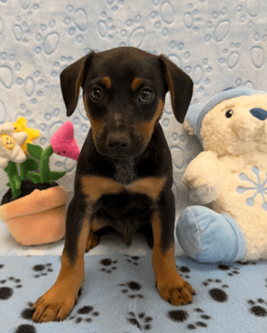 Screenshot 2026-01-27 at 5.13.47 PM.png