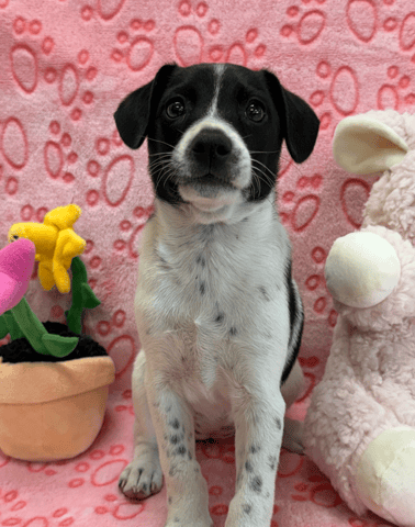 Screenshot 2026-01-27 at 5.14.44 PM.png