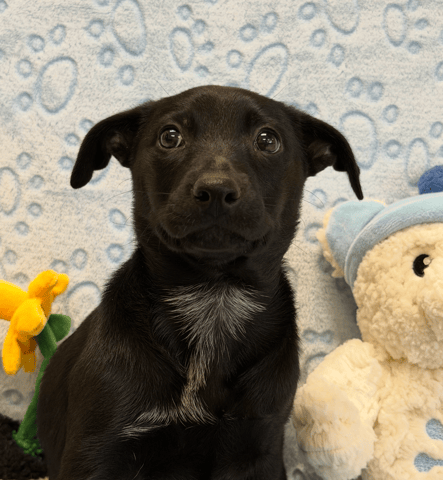 Screenshot 2026-01-27 at 5.16.23 PM.png