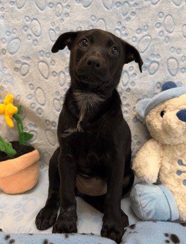 Screenshot 2026-01-27 at 5.16.30 PM.png