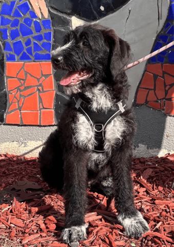 Screenshot 2026-01-30 at 6.15.26 PM.png