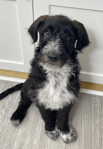 Screenshot 2026-01-30 at 6.15.37 PM.png