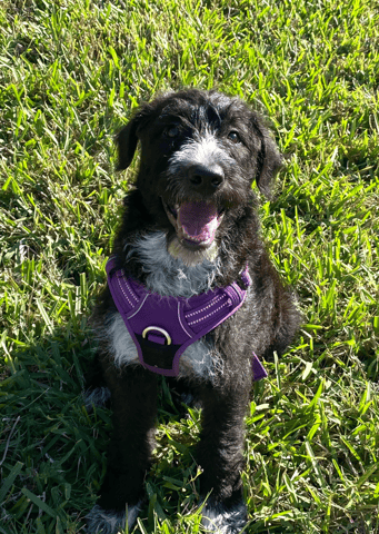 Screenshot 2026-01-30 at 6.15.56 PM.png