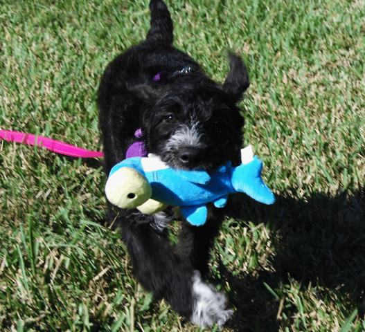 Screenshot 2026-01-30 at 6.16.03 PM.png