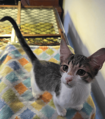 Screenshot 2026-01-30 at 6.36.58 PM.png