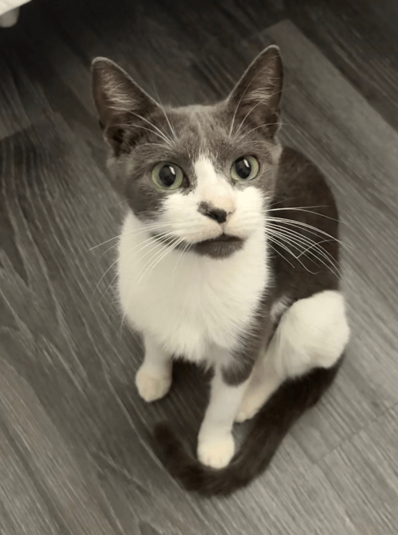 Screenshot 2026-01-30 at 6.49.14 PM.png